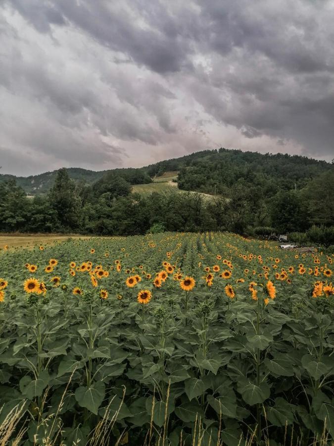 Nickland Vila San Sebastiano Curone Exterior foto
